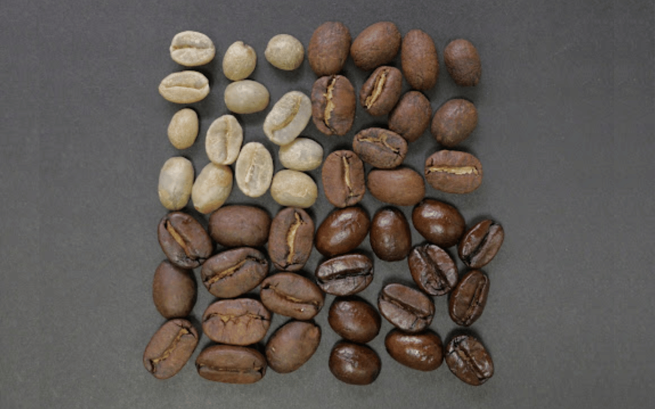 4 Types of coffee beans