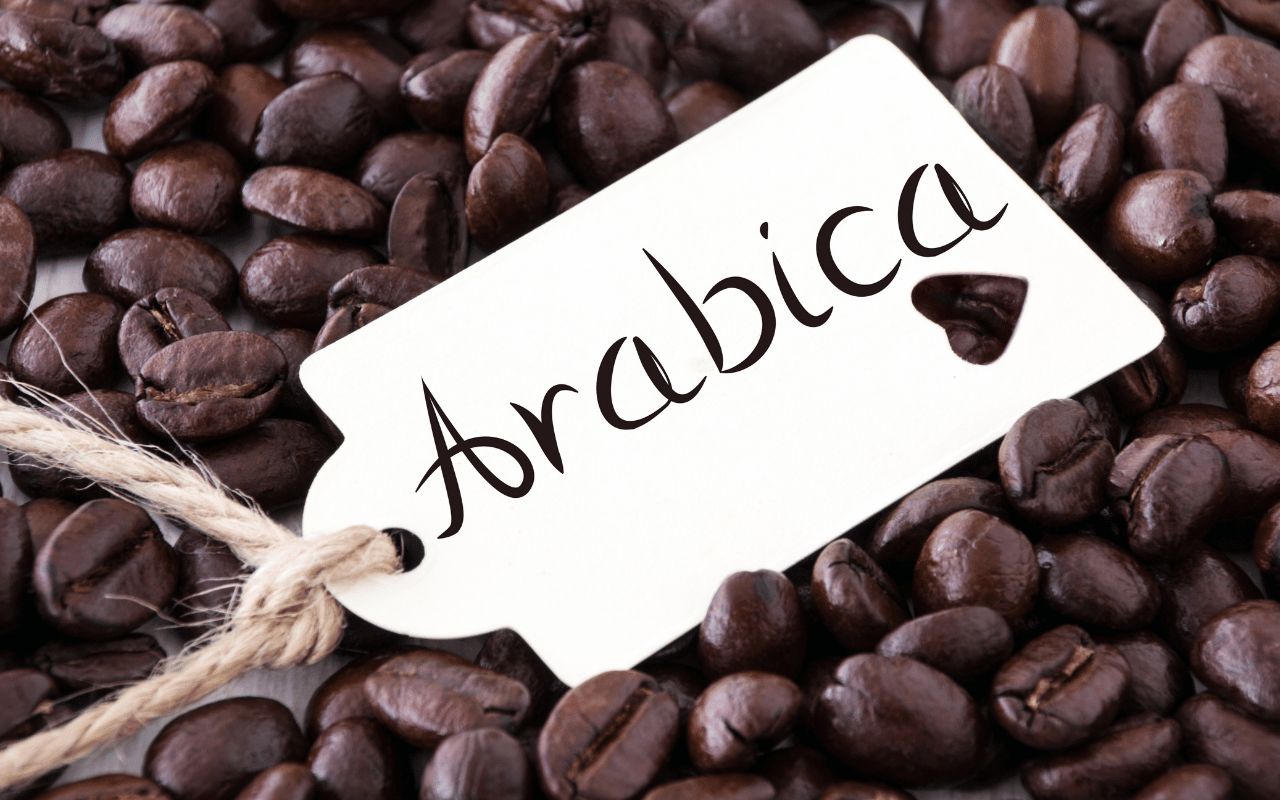Arabica Coffee Benefits